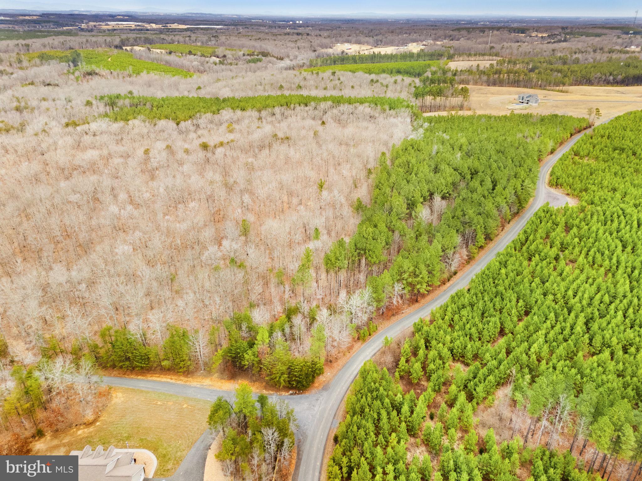 Sams Ridge Lignum, VA 22726 - Photo 23 of 31
