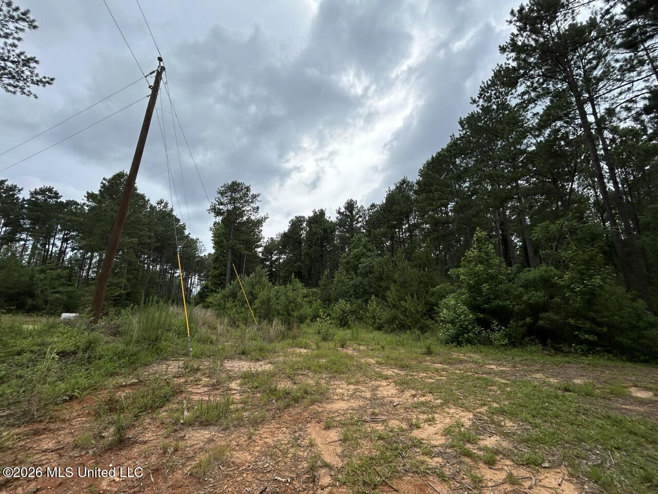 6643 Grange Hall Road Osyka, MS 39657 - Photo 2 of 39 IMG_4411 Large
