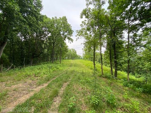 Tbd Rustic Ridge Road Riner, VA 24149 - Photo 24 of 53 Gallery Image 24