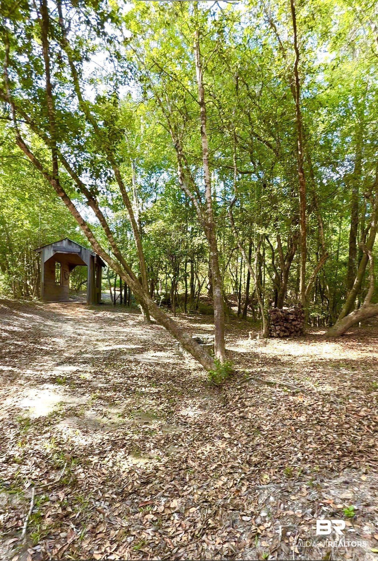 1 Mason Ferry Road Citronelle, AL 36522 - Photo 35 of 40 Wooded property featuring mature trees, natural ground cover, and a rustic wooden structure