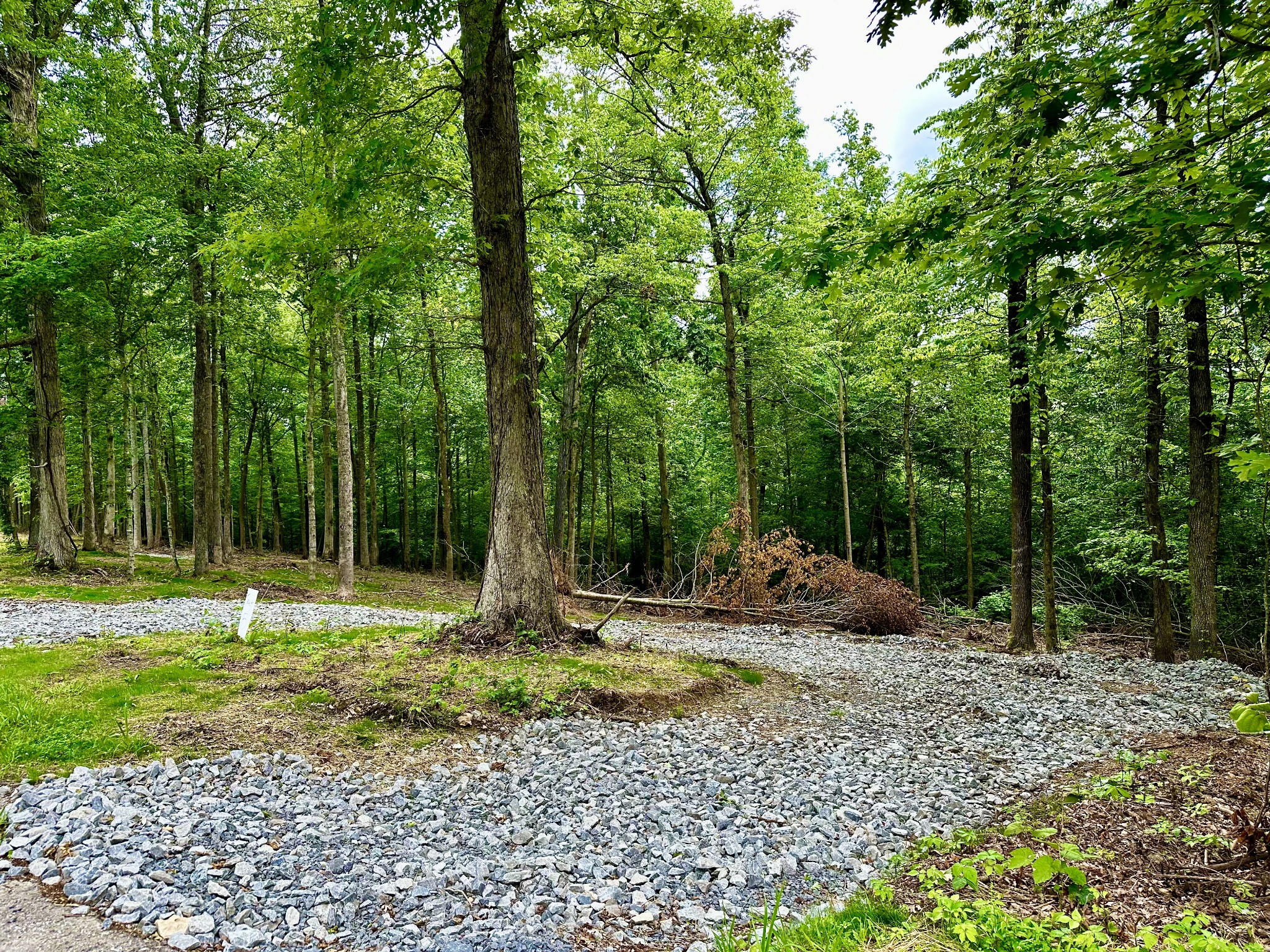 0 Gibbs Road Ashland City, TN 37015 - Photo 1 of 30 a backyard of a house with lots of green space