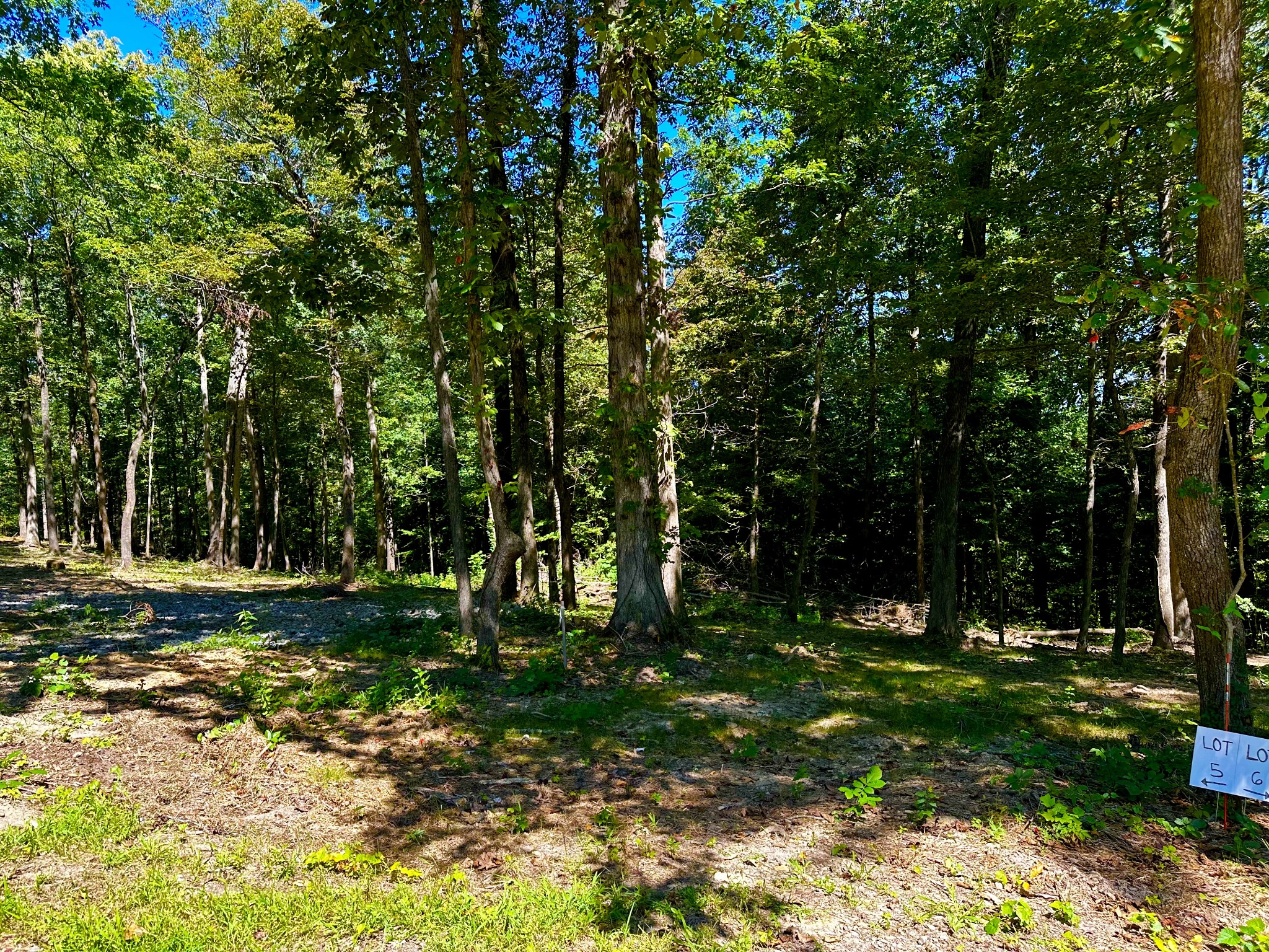 0 Gibbs Road Ashland City, TN 37015 - Photo 17 of 30 a backyard of a house with lots of green space