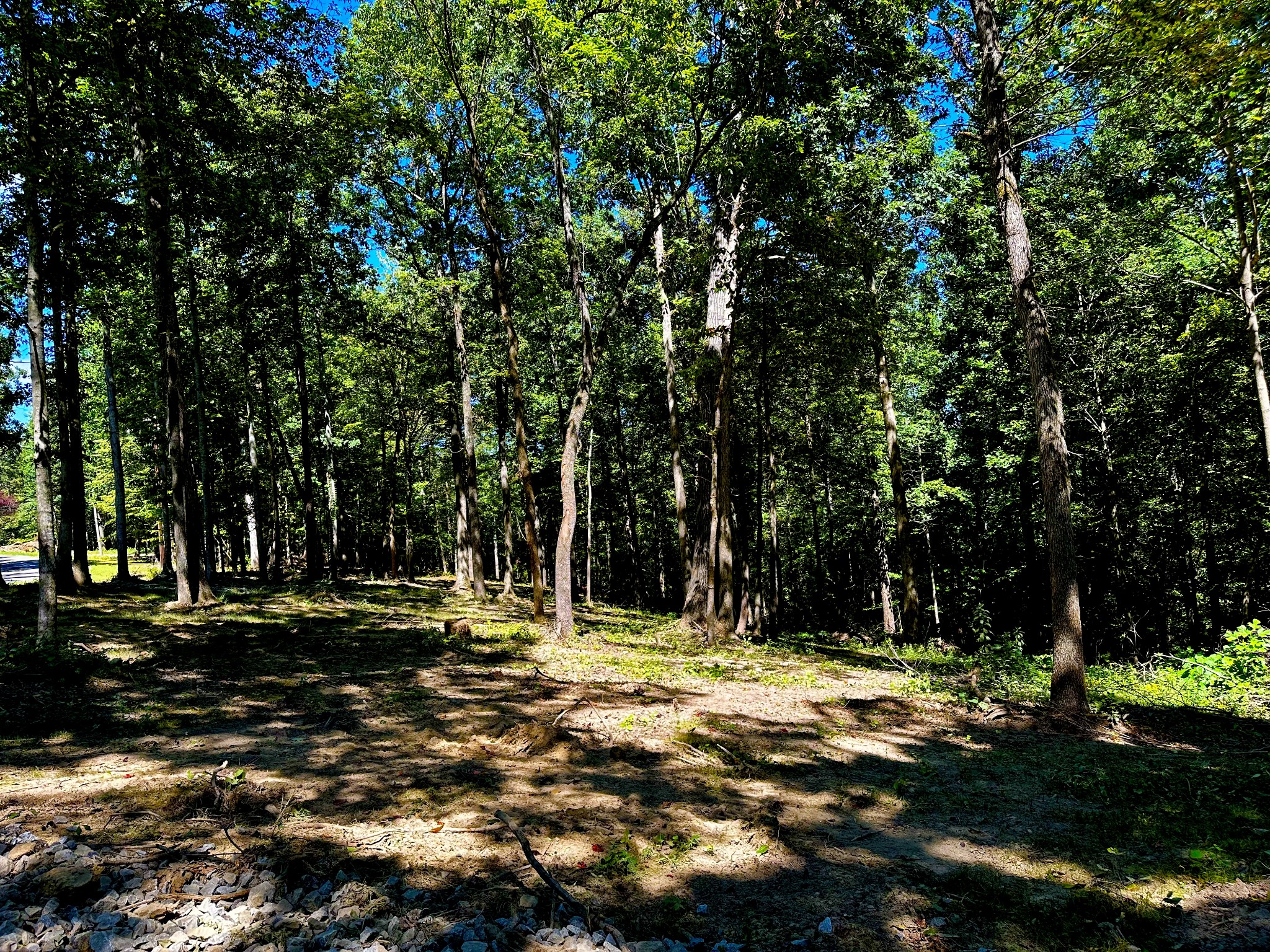 0 Gibbs Road Ashland City, TN 37015 - Photo 18 of 30 a view of outdoor space with trees