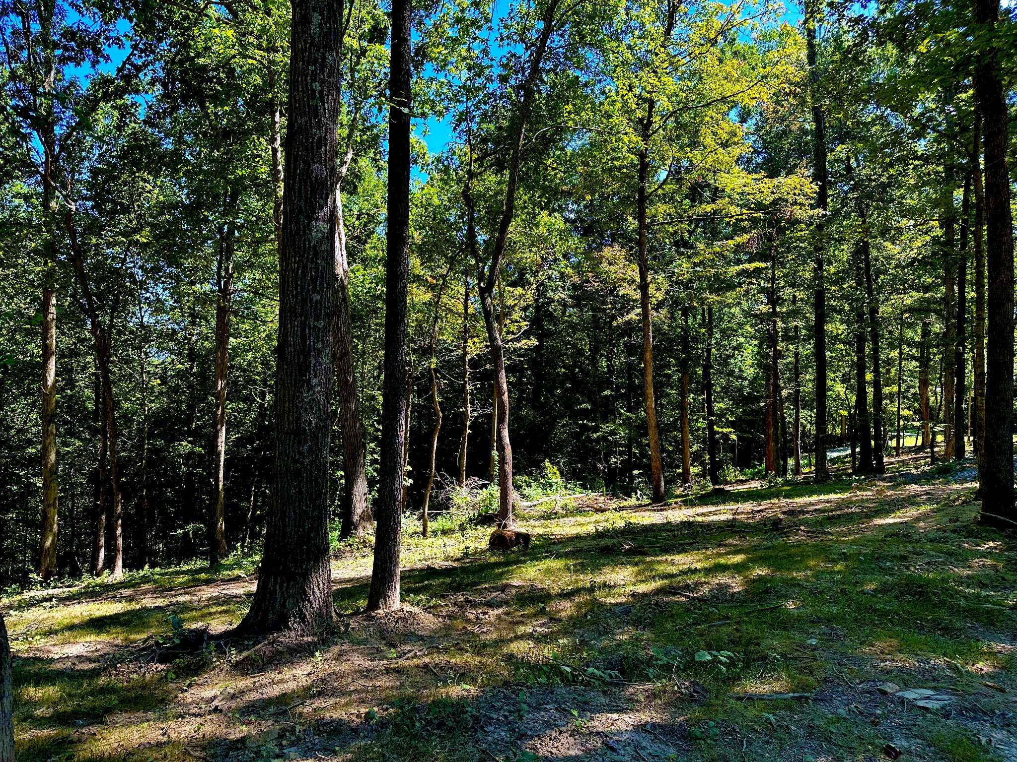 0 Gibbs Road Ashland City, TN 37015 - Photo 21 of 30 a view of a park