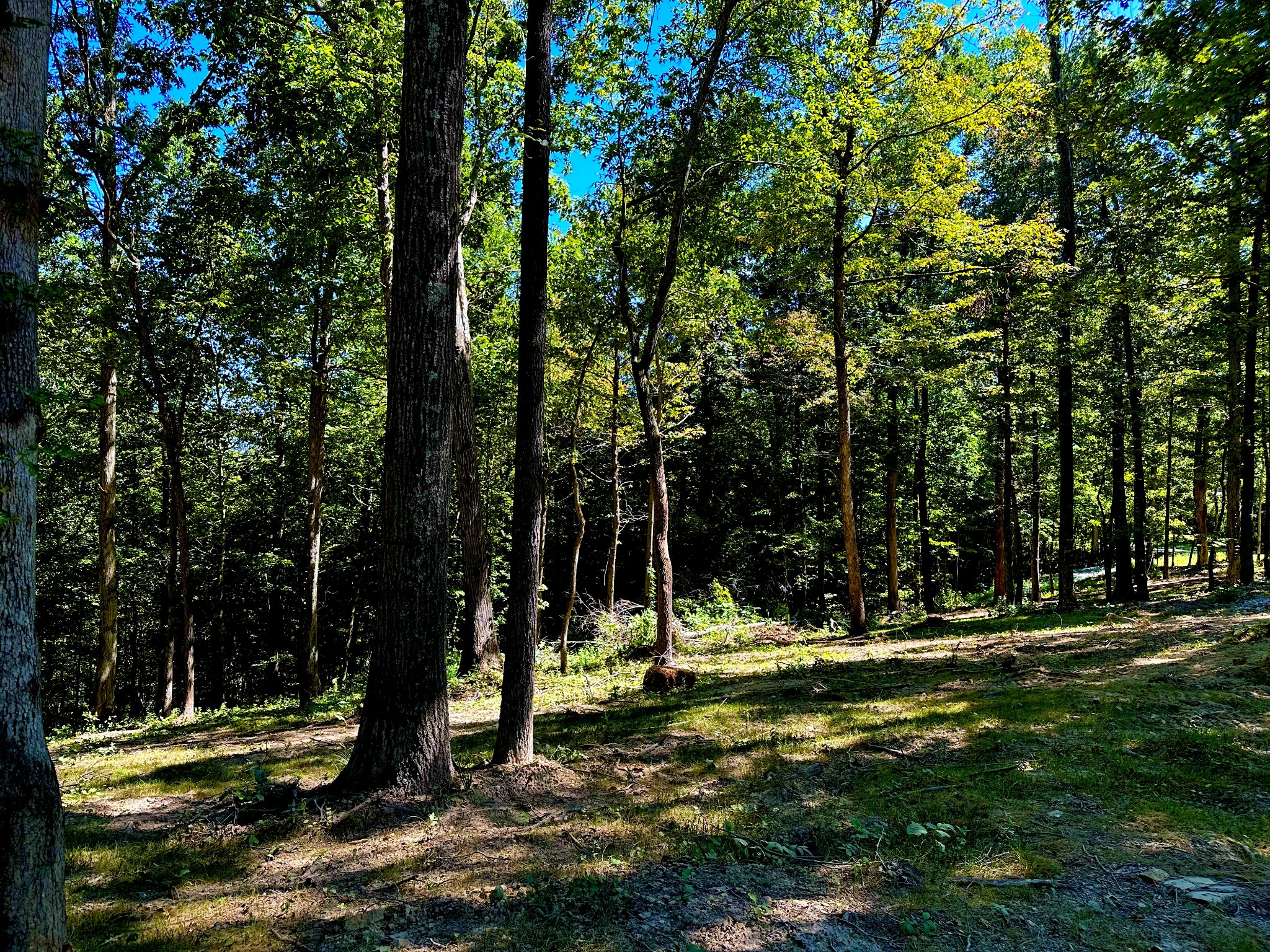 0 Gibbs Road Ashland City, TN 37015 - Photo 24 of 30 a view of a park