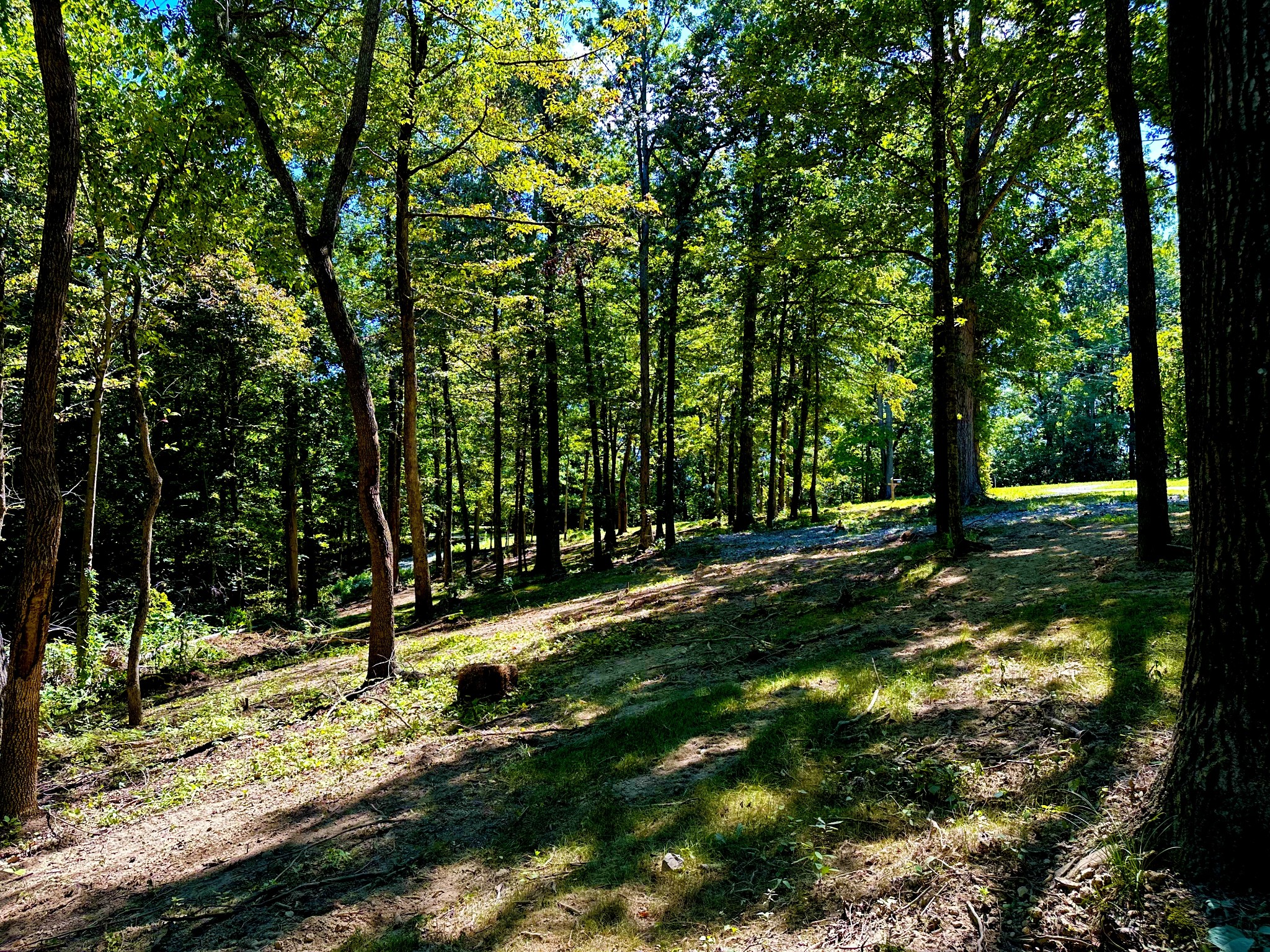 0 Gibbs Road Ashland City, TN 37015 - Photo 27 of 30 a view of park