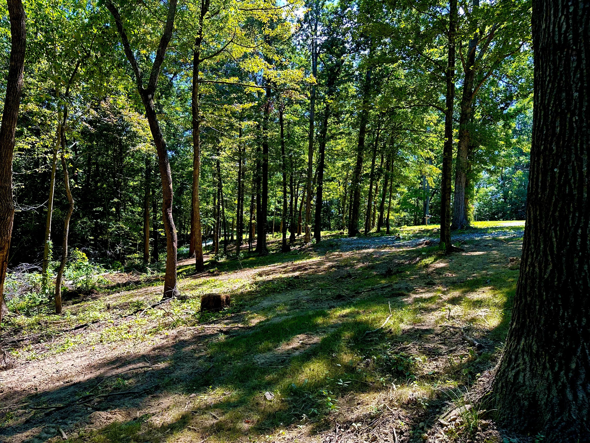 0 Gibbs Road Ashland City, TN 37015 - Photo 28 of 30 a view of yard with green space