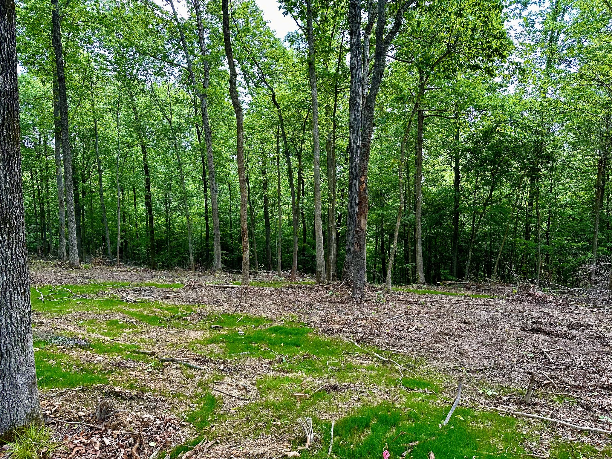 0 Gibbs Road Ashland City, TN 37015 - Photo 3 of 30 a view of outdoor space with trees