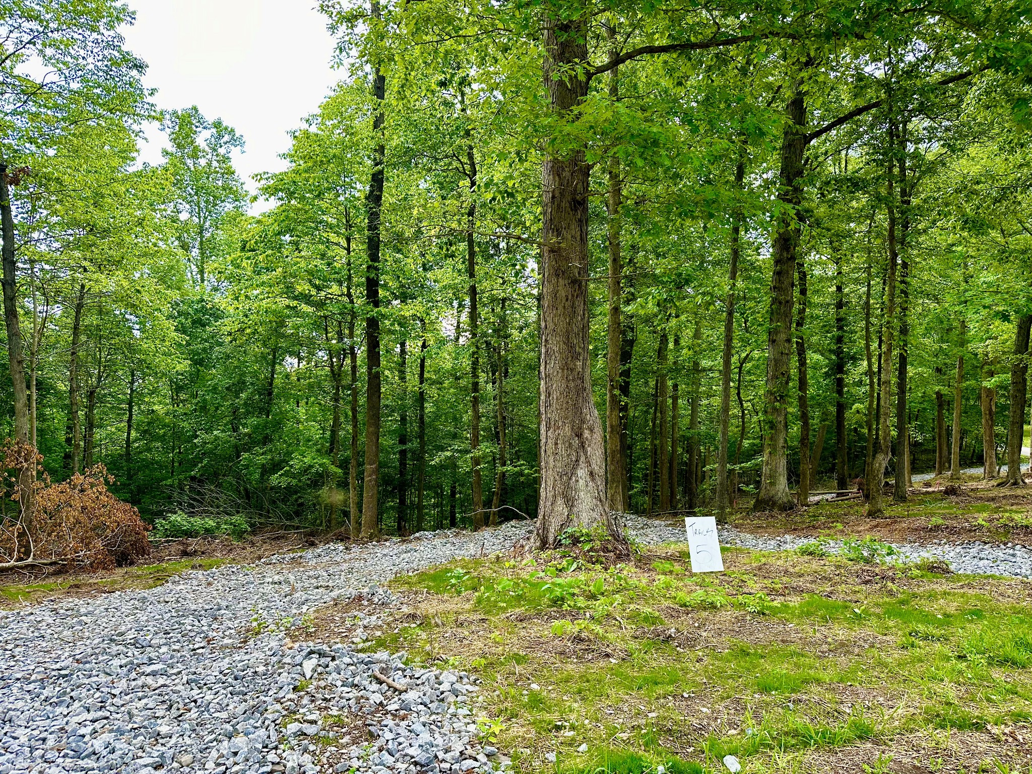 0 Gibbs Road Ashland City, TN 37015 - Photo 4 of 30 a view of outdoor space with deck and tree