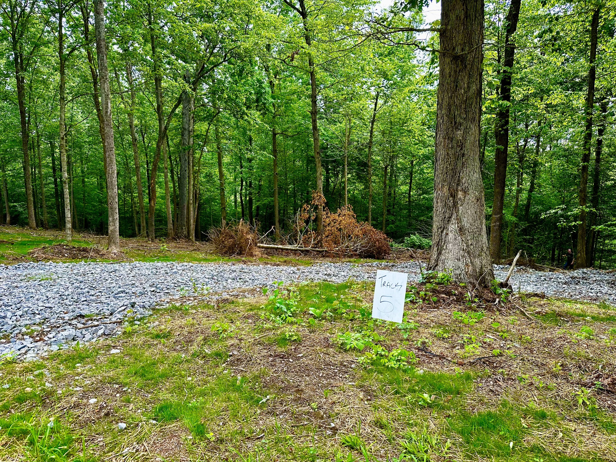 0 Gibbs Road Ashland City, TN 37015 - Photo 5 of 30 a backyard of a house with lots of green space