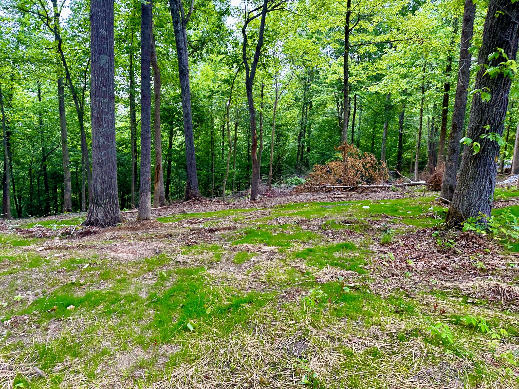 0 Gibbs Road Ashland City, TN 37015 - Photo 6 of 30 a backyard of a house with table and chairs
