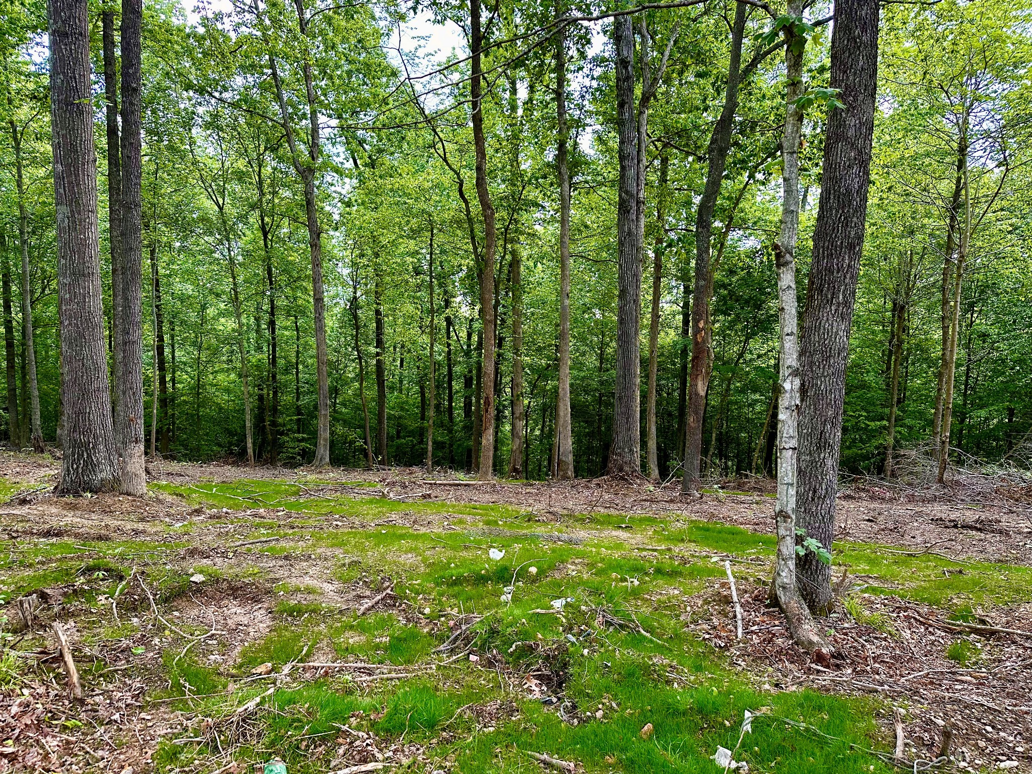 0 Gibbs Road Ashland City, TN 37015 - Photo 8 of 30 a big yard with lots of green space and trees