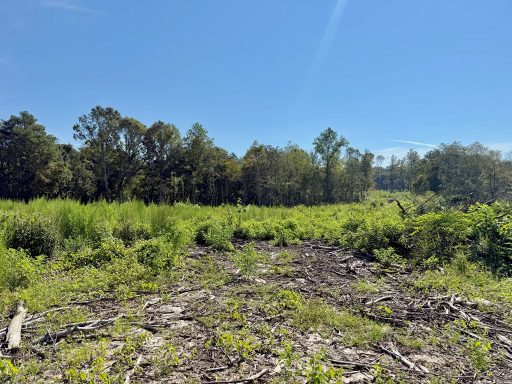 Undisclosed Address Slocomb, AL 36375 - Photo 12 of 23