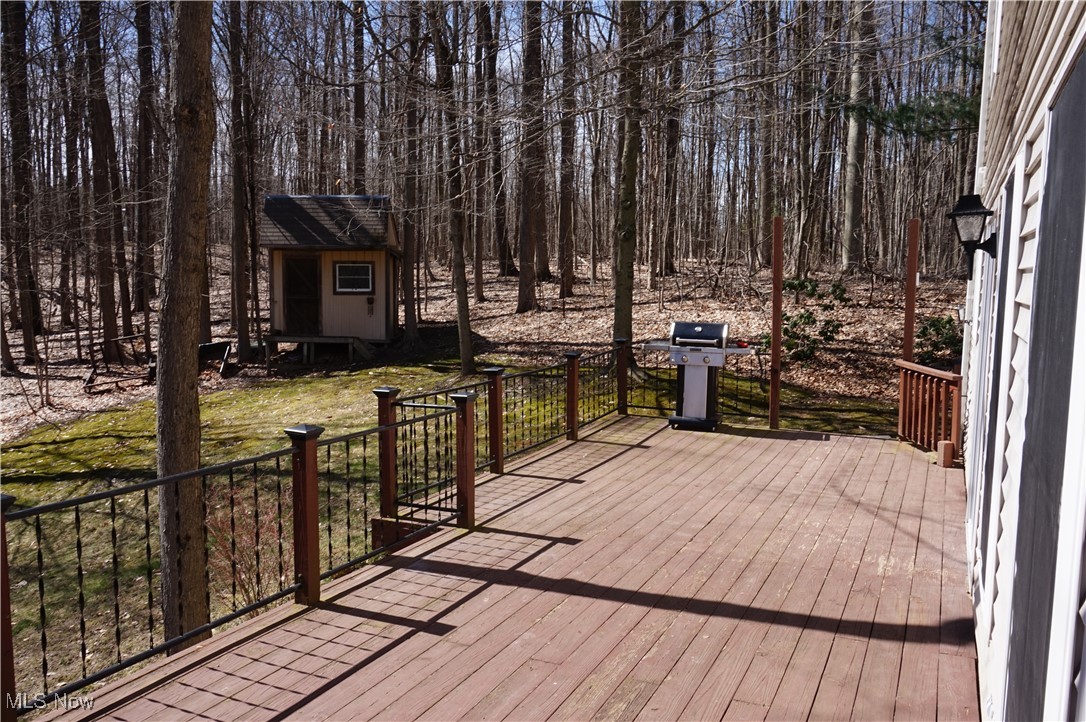 17485 Burrows Road Thompson, OH 44086 - Photo 38 of 43 Deck and shed