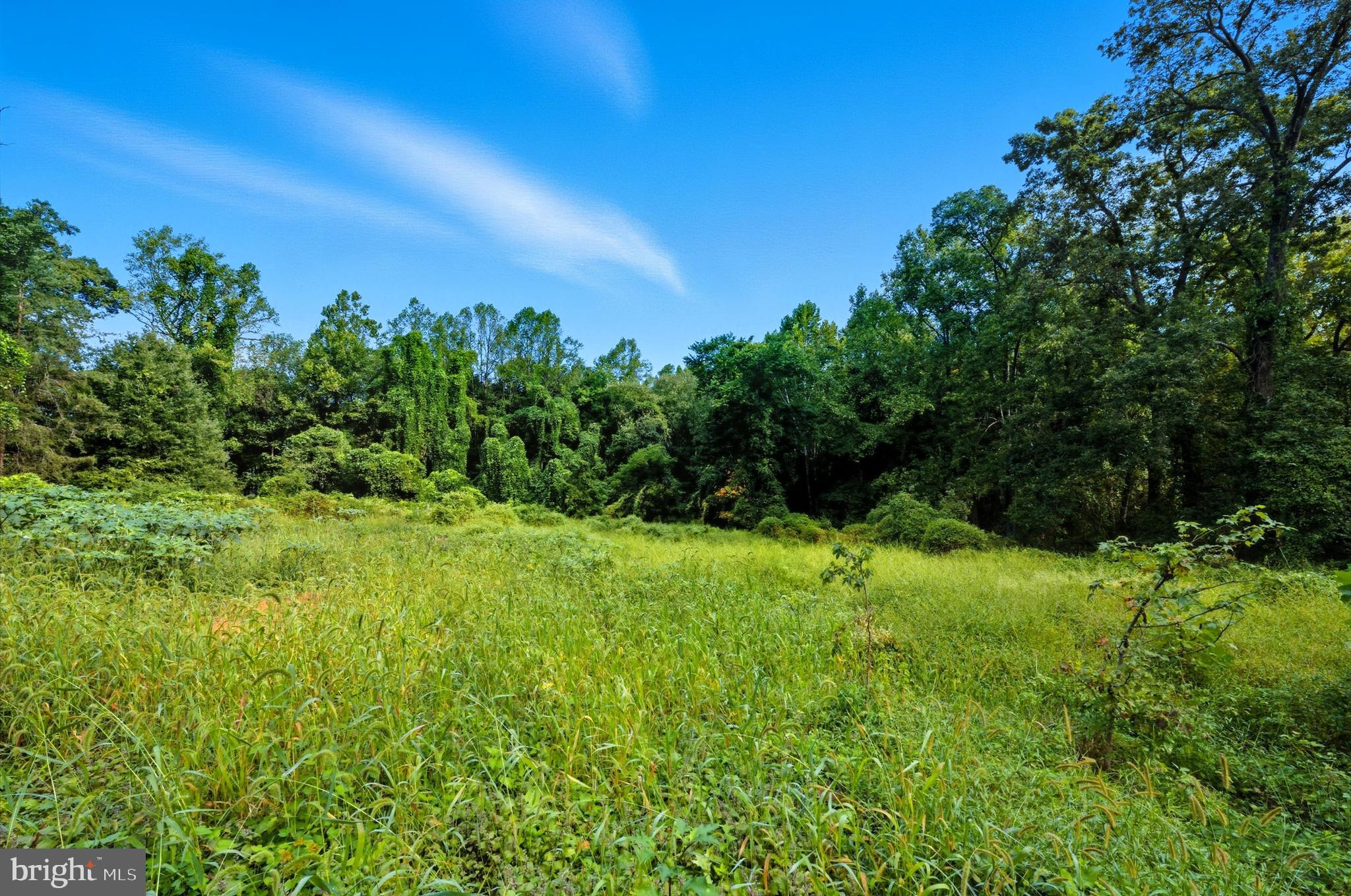 9310 Crandall Road Lanham, MD 20706 - Photo 12 of 45