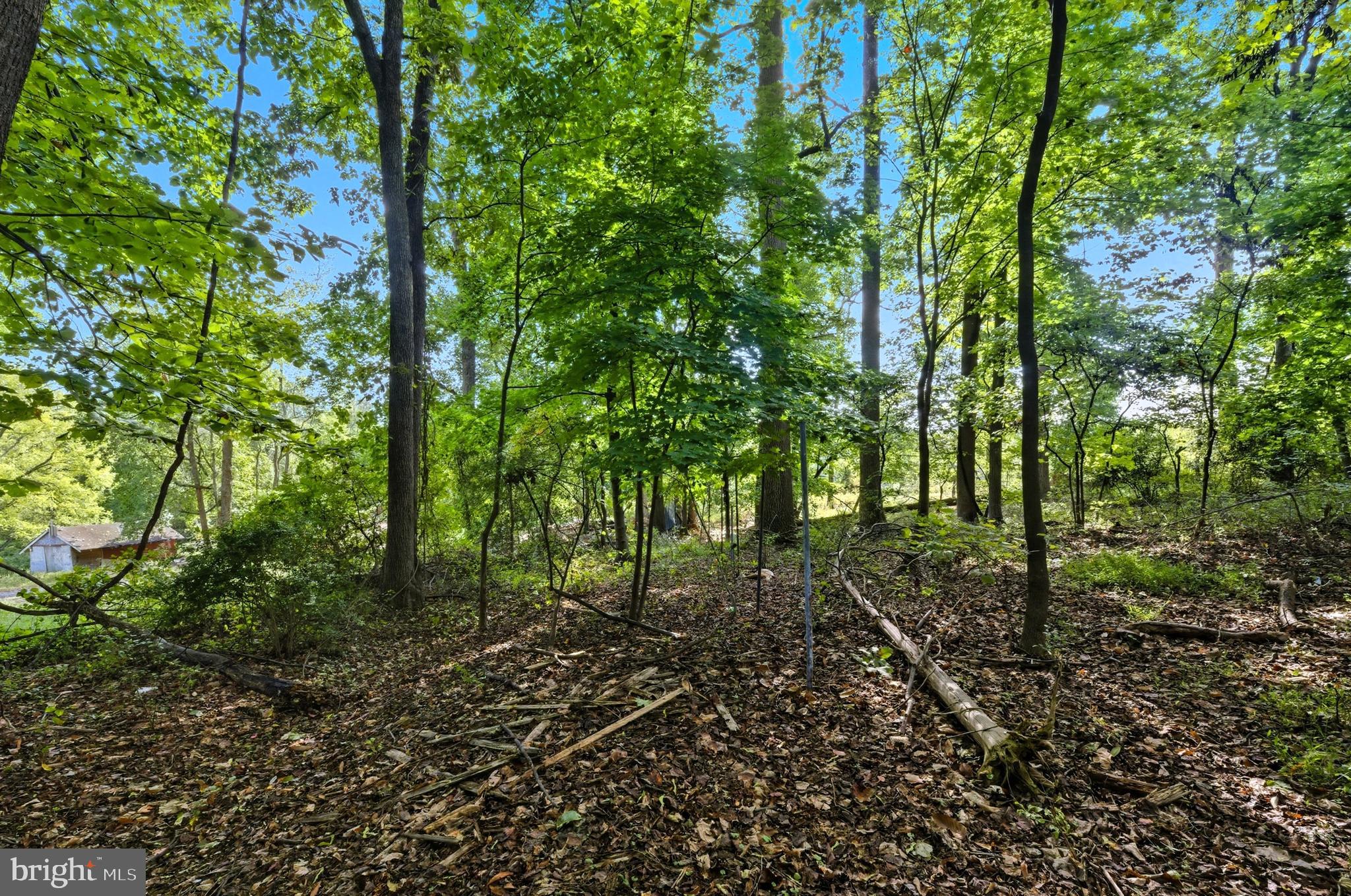 9310 Crandall Road Lanham, MD 20706 - Photo 14 of 45