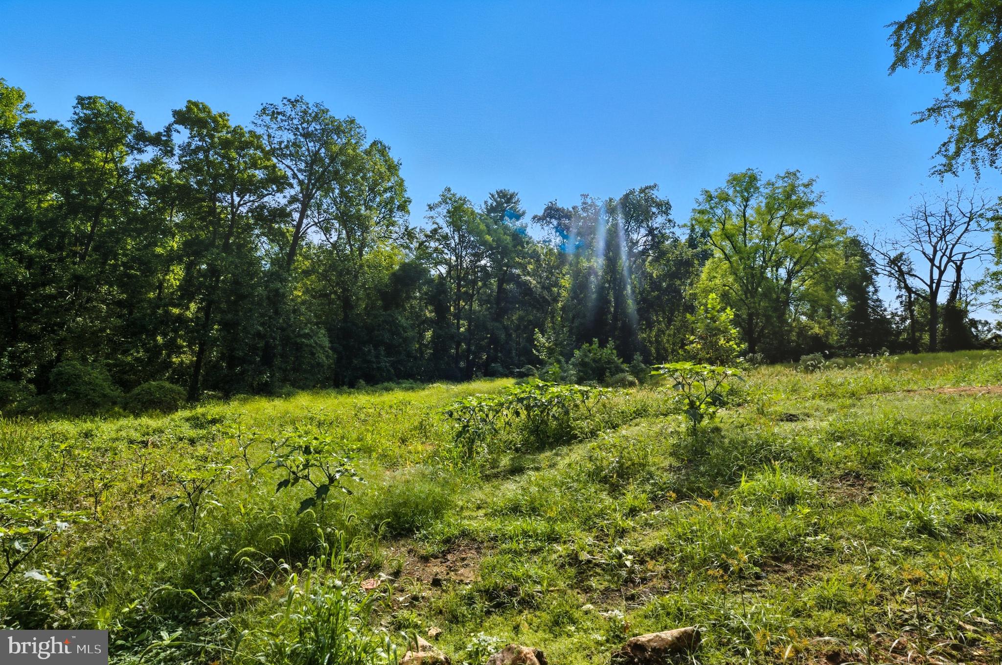 9310 Crandall Road Lanham, MD 20706 - Photo 10 of 45