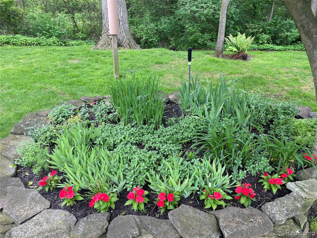 45289 Rudgate Road Canton, MI 48188 - Photo 8 of 16 Gallery Image 8