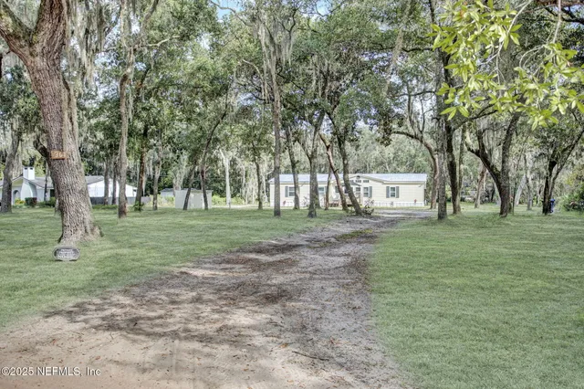 a view of a trees in a park