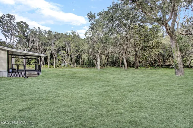 a view of a park with large trees