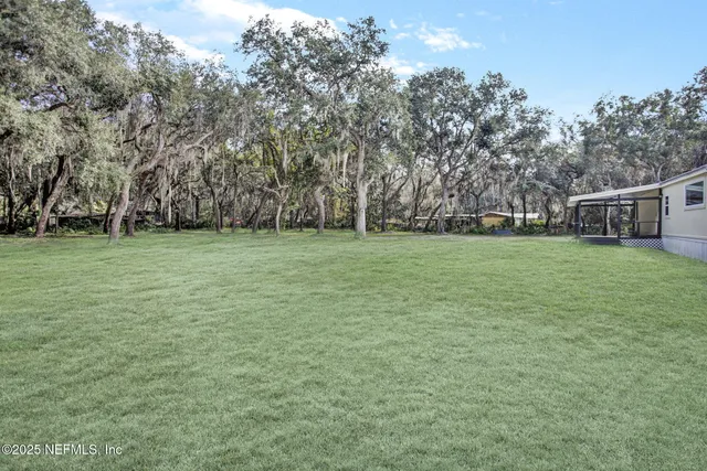 a view of a backyard with plants and large trees