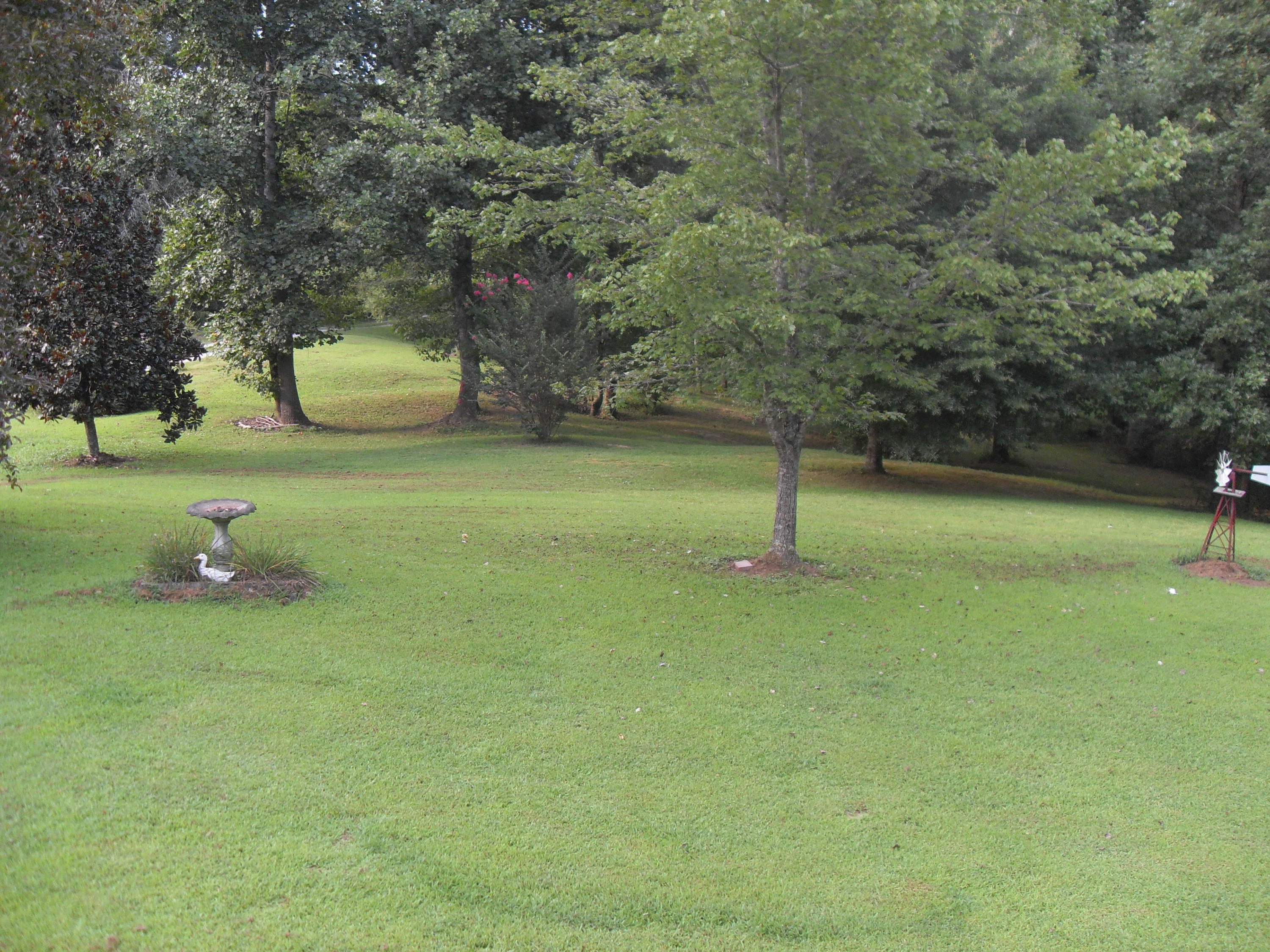 3942 Clonts Road Apison, TN 37302 - Photo 25 of 29 SDC12270