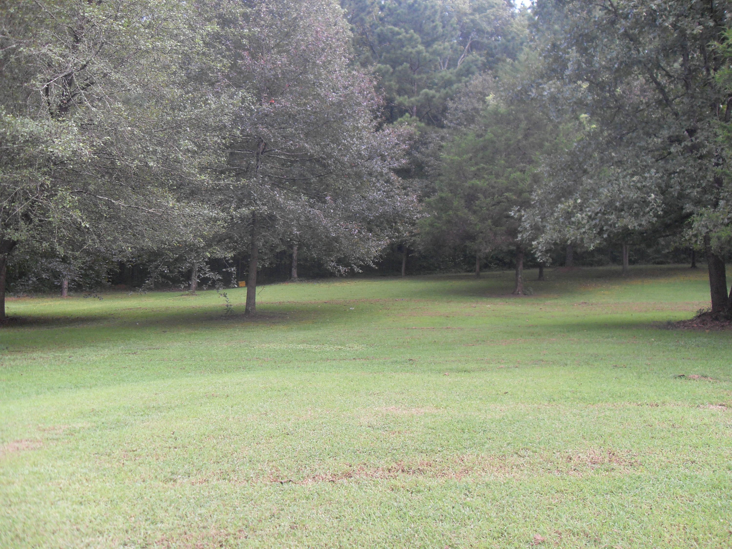 3942 Clonts Road Apison, TN 37302 - Photo 26 of 29 SDC12272