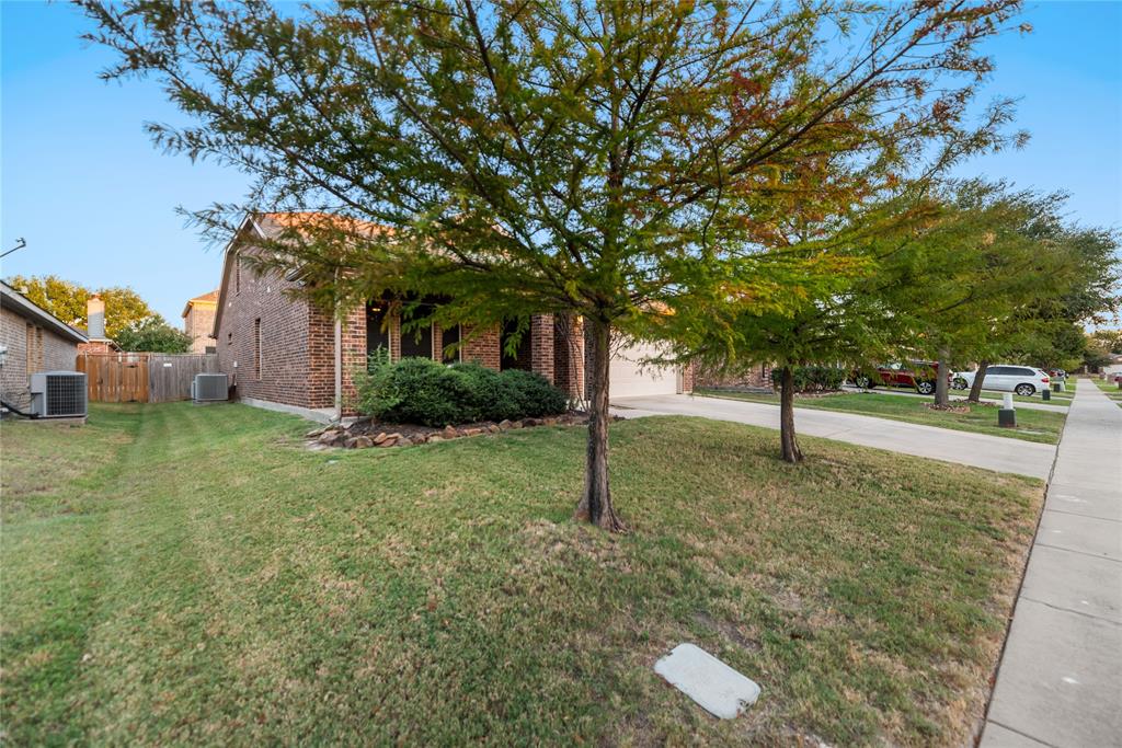 3616 Spring Run Lane Melissa, TX 75454 - Photo 2 of 23 a view of a yard with plants and trees