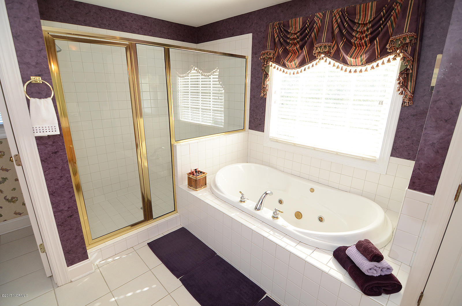 4519 Saddle Run Road North Wilson, NC 27896 - Photo 13 of 26 Master Bath Jetted Tub and Shower