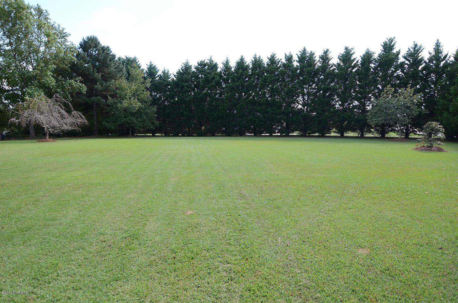 4519 Saddle Run Road North Wilson, NC 27896 - Photo 26 of 26 Back Yard
