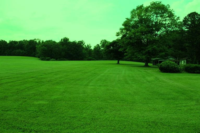 376 Ike Monhollen Road Corbin, KY 40701 - Photo 10 of 41 Photo 10
