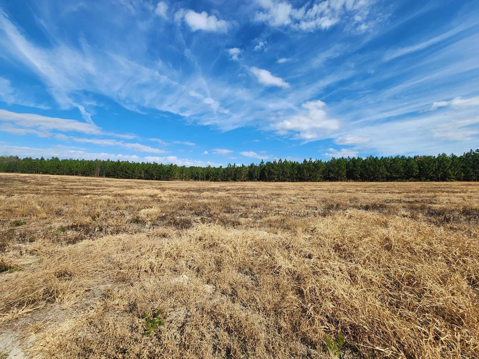 3460 Wire Road Monetta, SC 29105 - Photo 47 of 48 400530463_1099426771216588_8726977536752