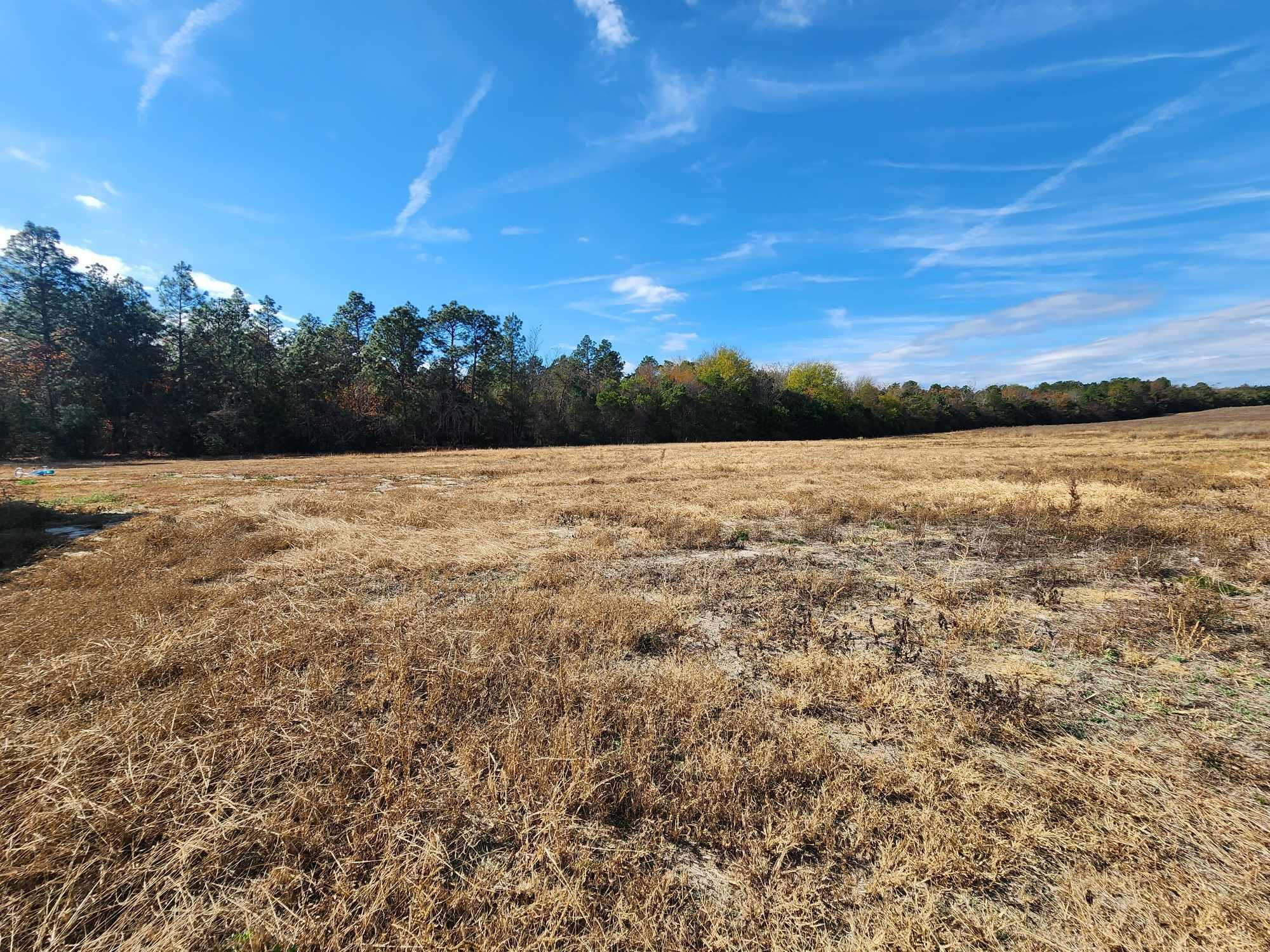 3460 Wire Road Monetta, SC 29105 - Photo 48 of 48 399161705_364703575916163_46543217672236