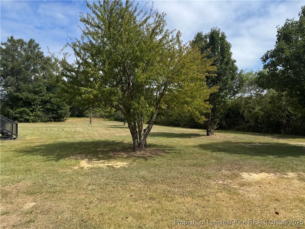 2273 Bee Gee Road Lumberton, NC 28358 - Photo 30 of 35 a view of a yard with large trees