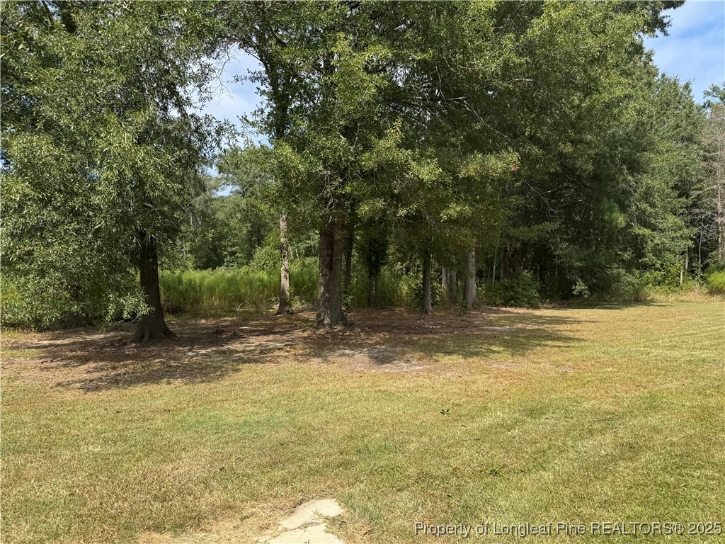 2273 Bee Gee Road Lumberton, NC 28358 - Photo 31 of 35 a view of a yard with swimming pool