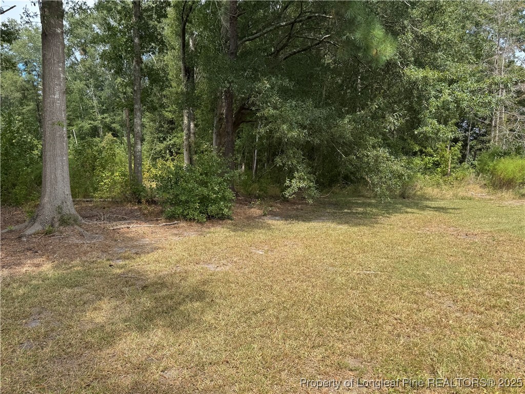 2273 Bee Gee Road Lumberton, NC 28358 - Photo 32 of 35 a view of outdoor space and yard