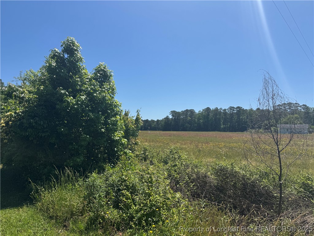2273 Bee Gee Road Lumberton, NC 28358 - Photo 4 of 35 a view of lake with green space