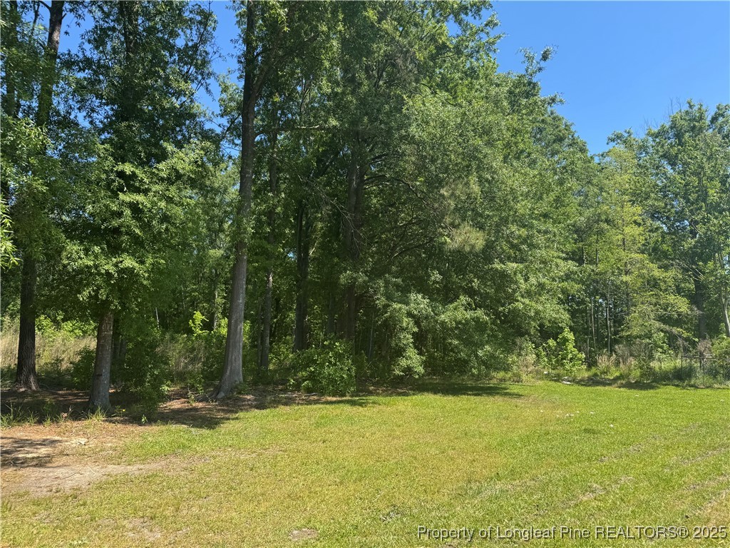 2273 Bee Gee Road Lumberton, NC 28358 - Photo 7 of 35 a view of a yard with a trees