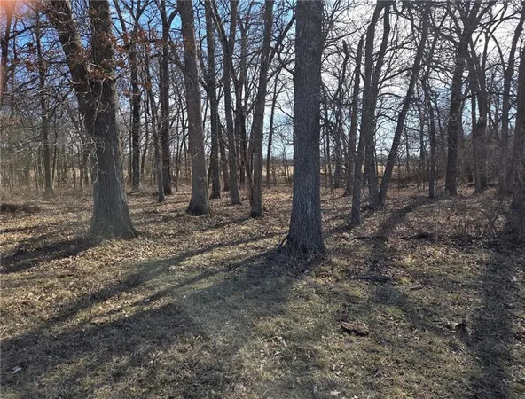 $87,500 | Lot 3 Northwest County Road, Archie, MO 64725