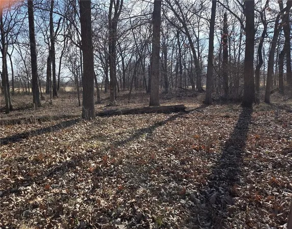 $87,500 | Lot 3 Northwest County Road, Archie, MO 64725