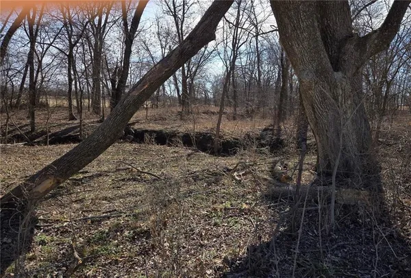 $87,500 | Lot 3 Northwest County Road, Archie, MO 64725