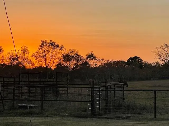 a view of with a yard