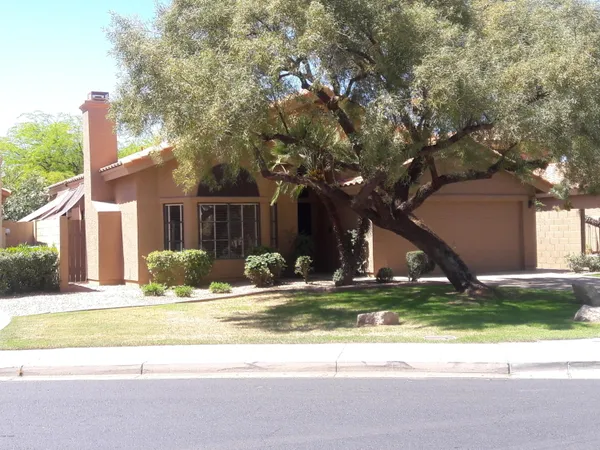 a view of house with a yard and a large tree