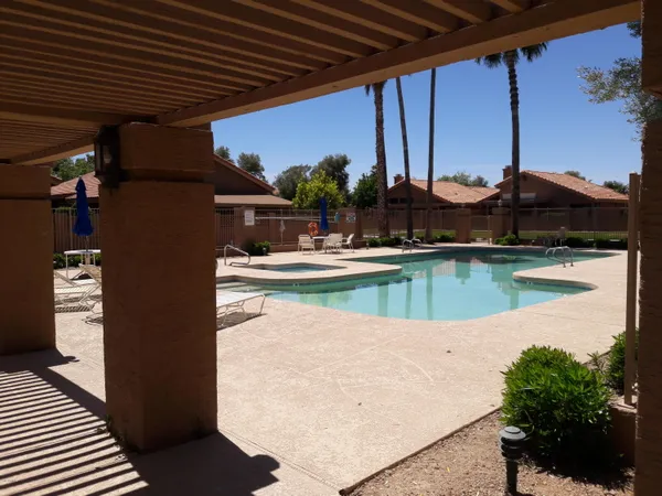 a view of a trees in a yard