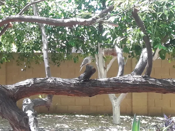 a view of a entrance of the house