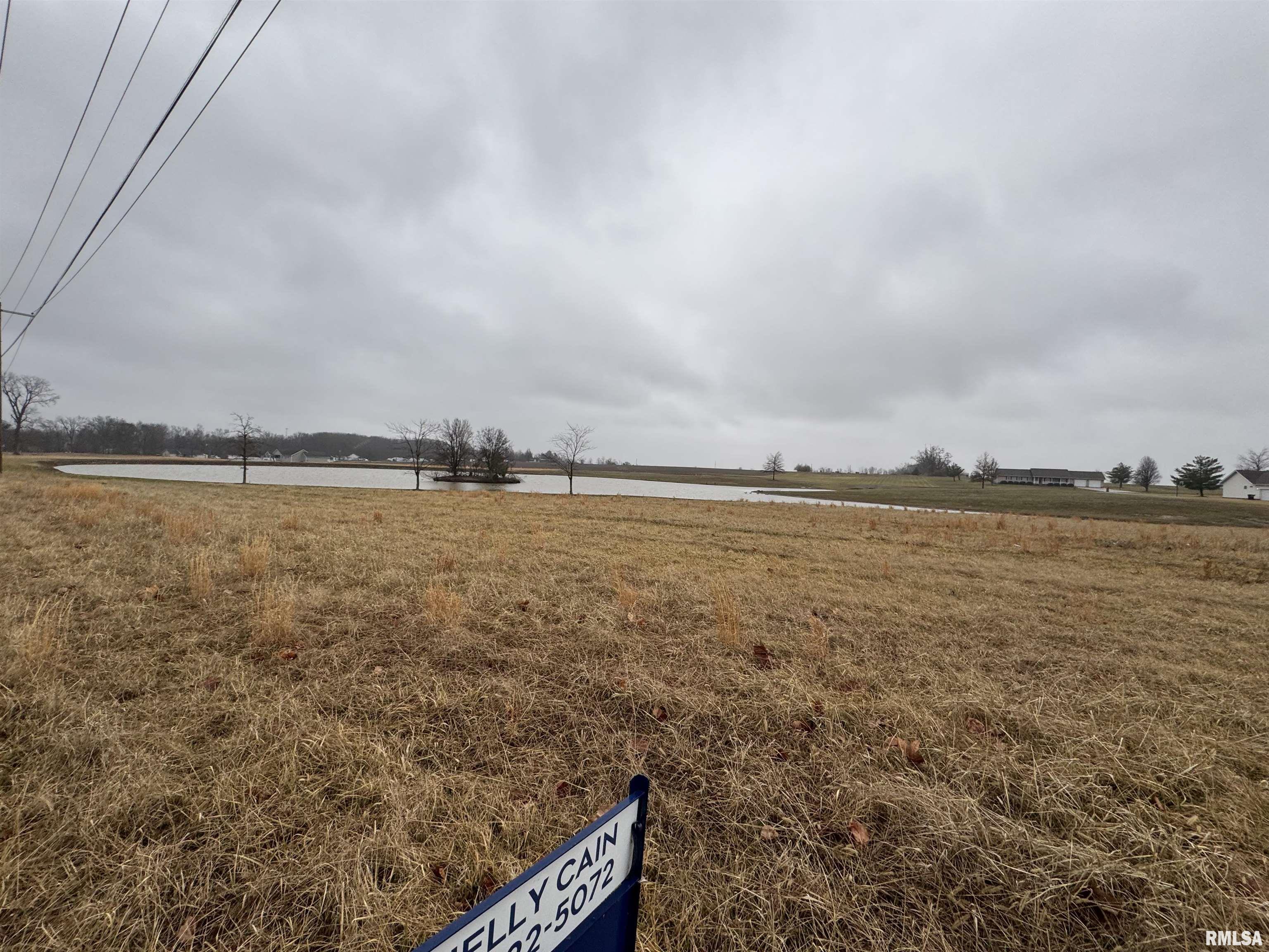 Lot 1-2 Raleigh Road Eldorado, IL 62930 - Photo 2 of 6