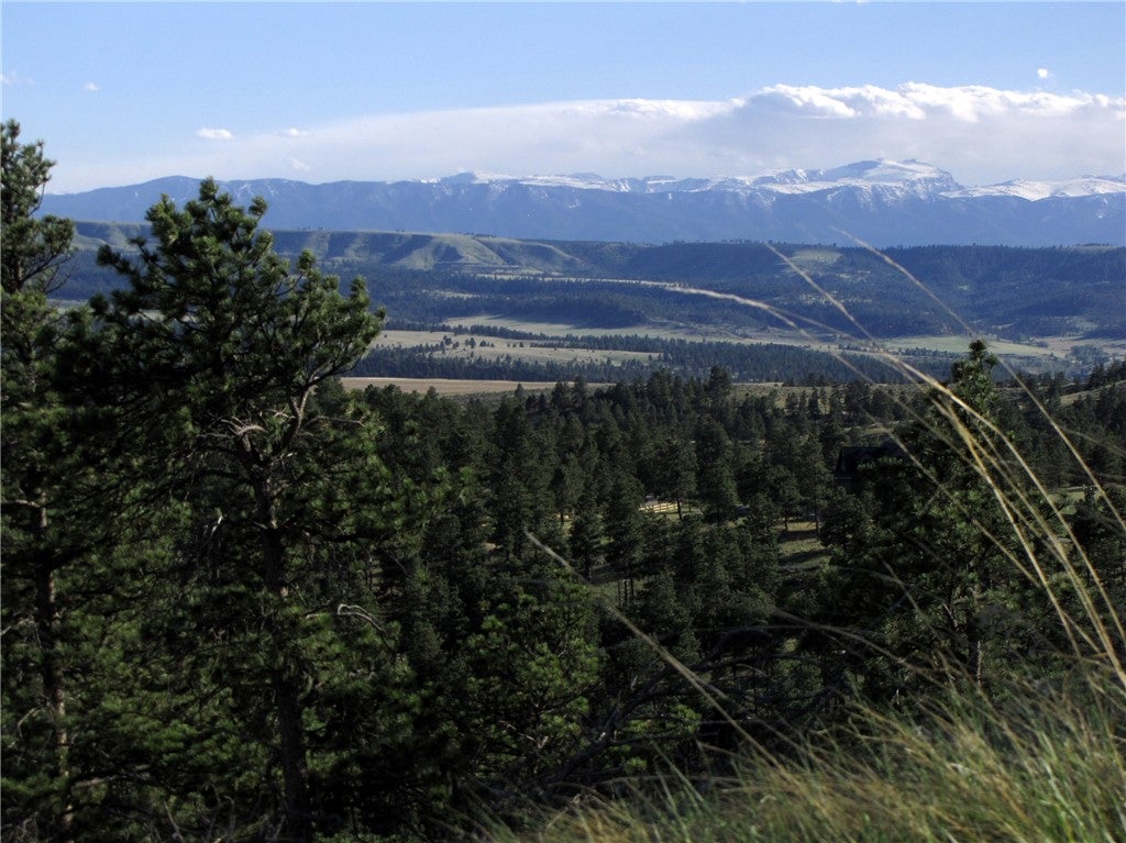 Nhn Nhn Wild Turkey Ridge Road Columbus, MT 59019 - Photo 2 of 47 Highpoint views of the Beartooth Mountains
