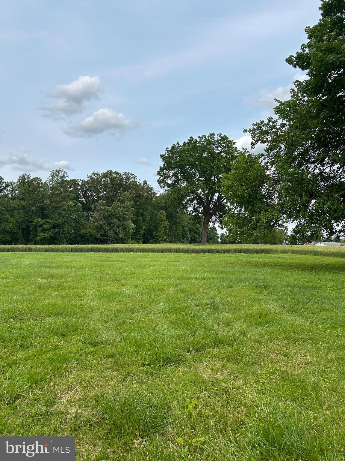 17011 Troyer Road Monkton, MD 21111 - Photo 5 of 7 a view of outdoor space with deck and yard