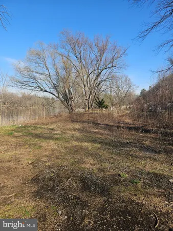 a view of yard with green space