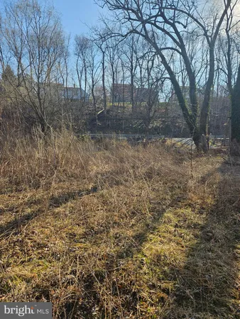 a view of a yard with trees